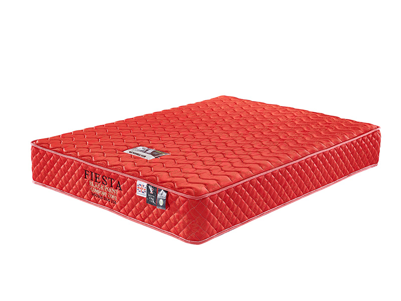 FIESTA Two Side Used Mattress